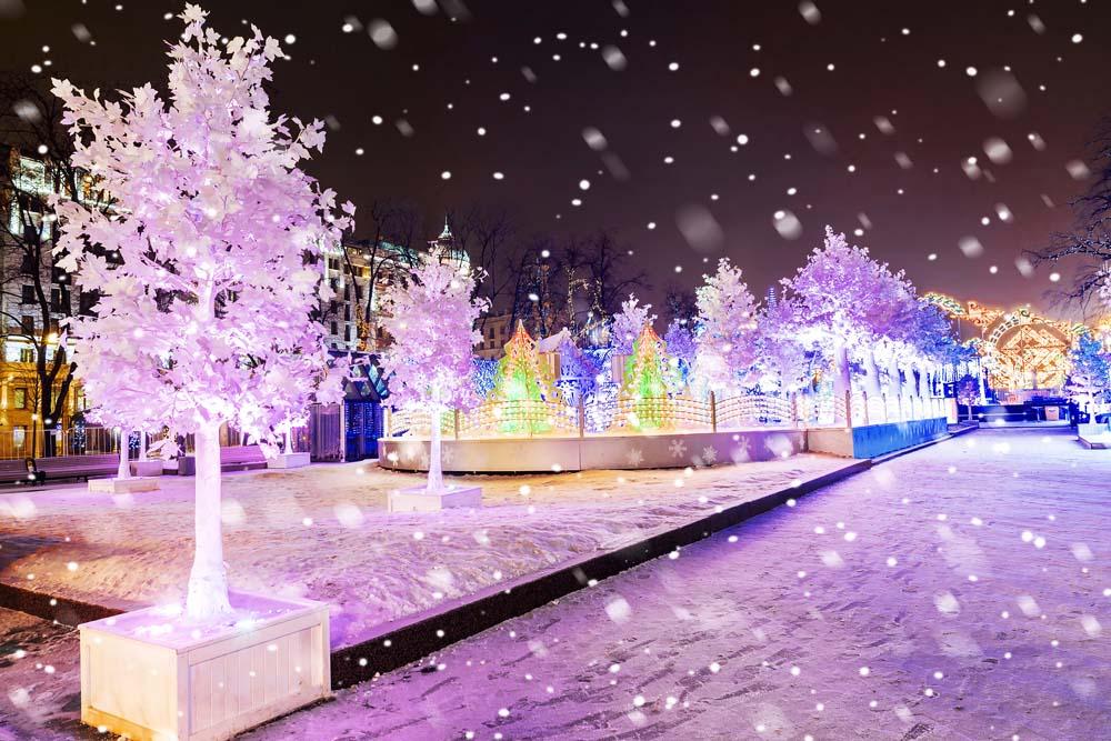 Ель, зима, снег, Новый год, праздник, улица Обои 1640x2360 iPad Air (2020) 8