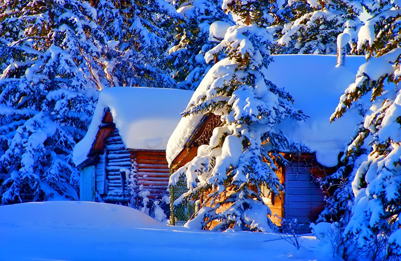 Фото ели Зима Природа снегу Здания Времена года