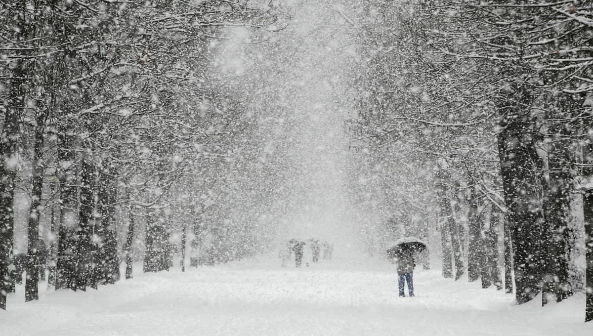 Синоптик сообщил, что \"нормальная зима\" закончится вместе с январем -  Российская газета