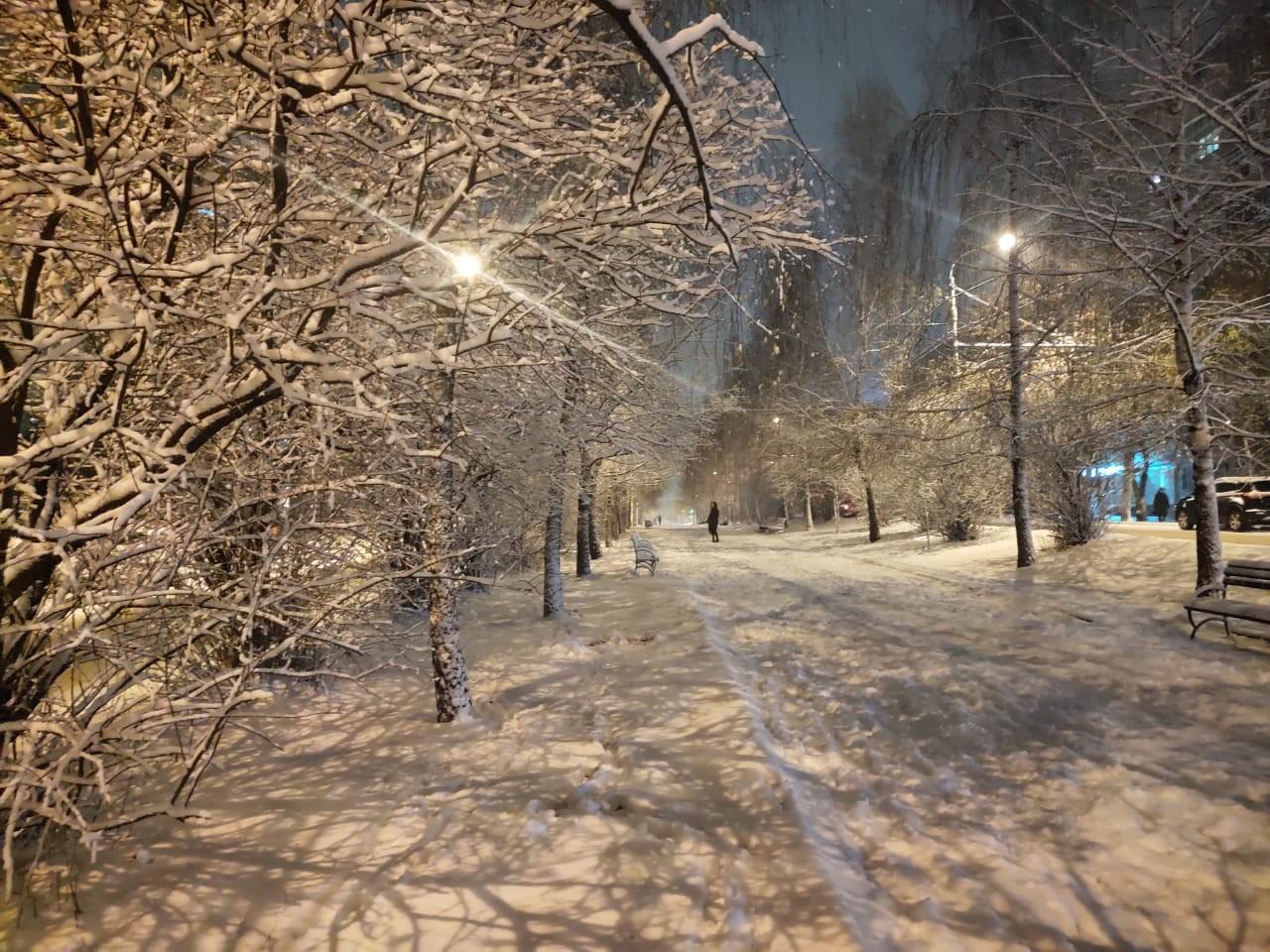 24 января – Всемирный день снега - Новости РГО