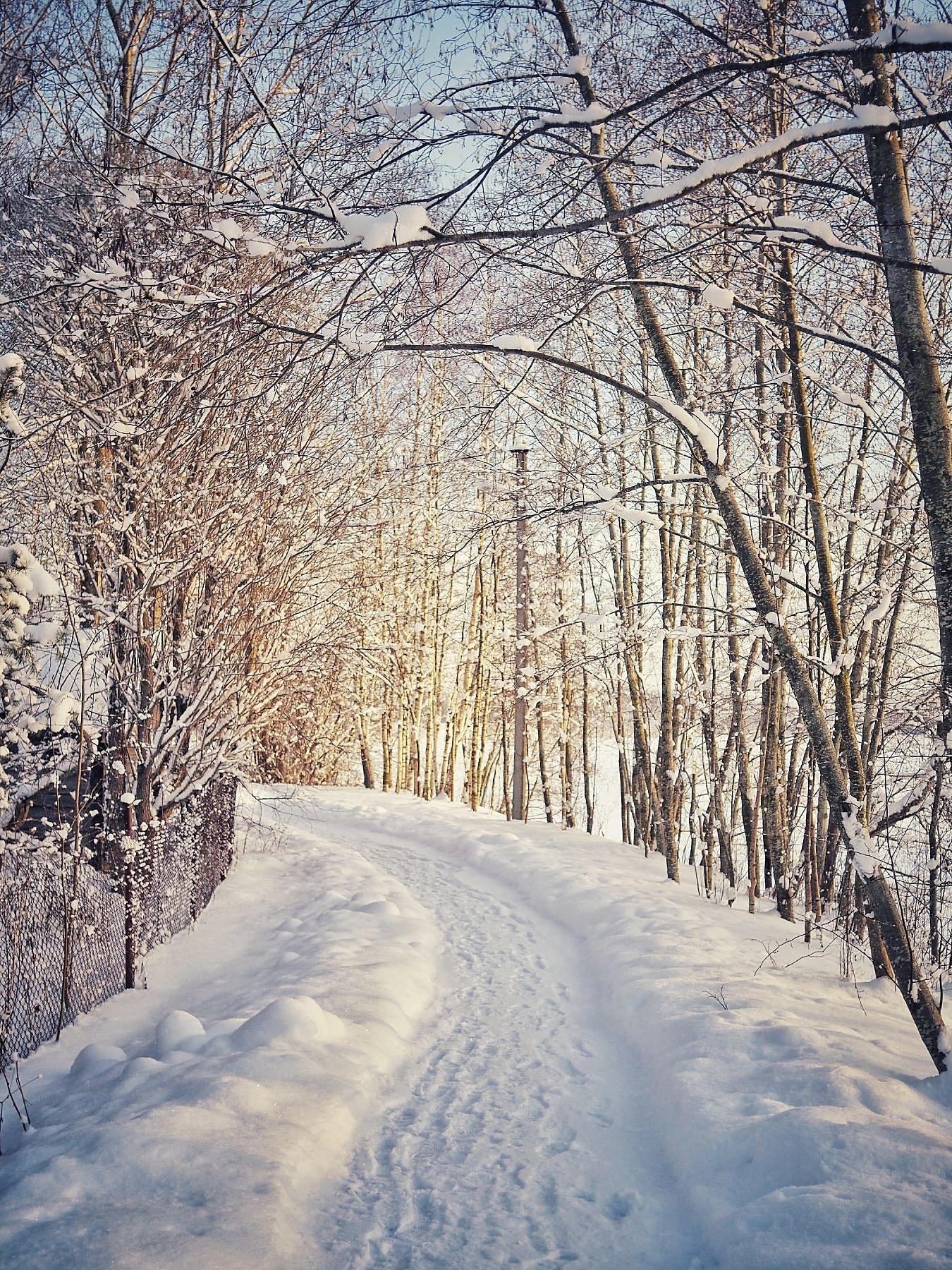 Рисунок снег в лесу - 70 фото