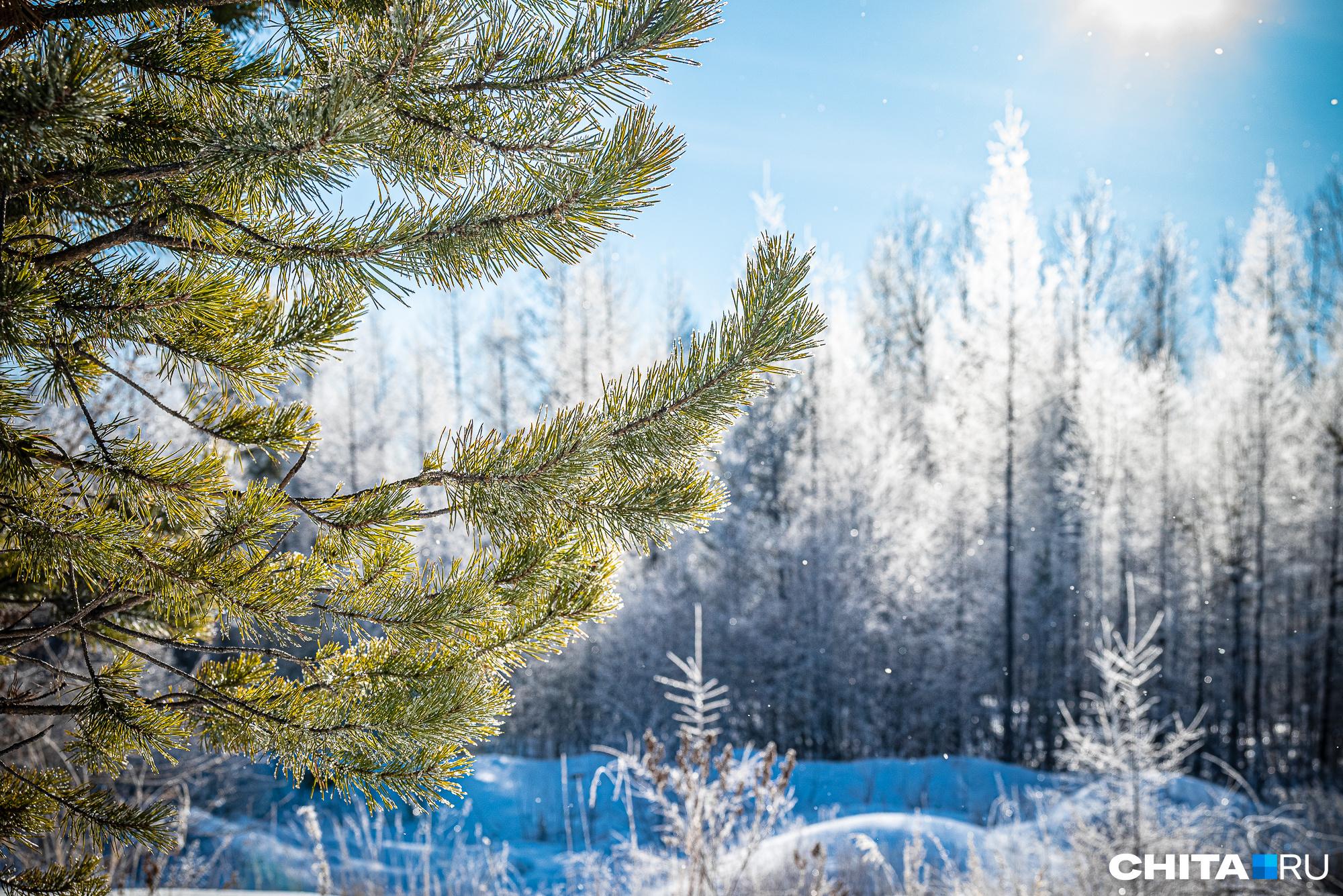 Зима 2023−2024: холодная или теплая — метеоролог предоставила прогноз на  каждый месяц — погода в Украине / NV