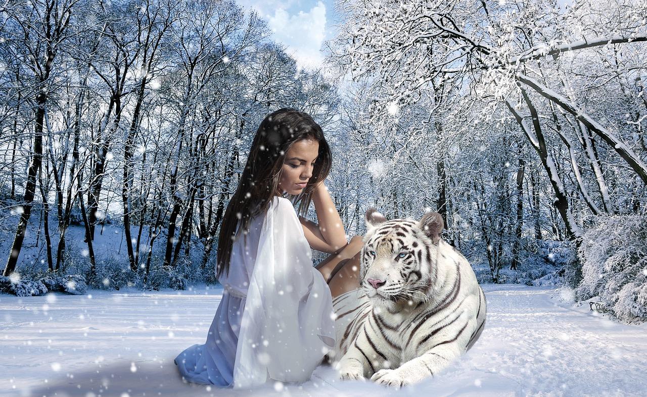 Тигр, зима, реалистично, , эстетично, …» — создано в Шедевруме