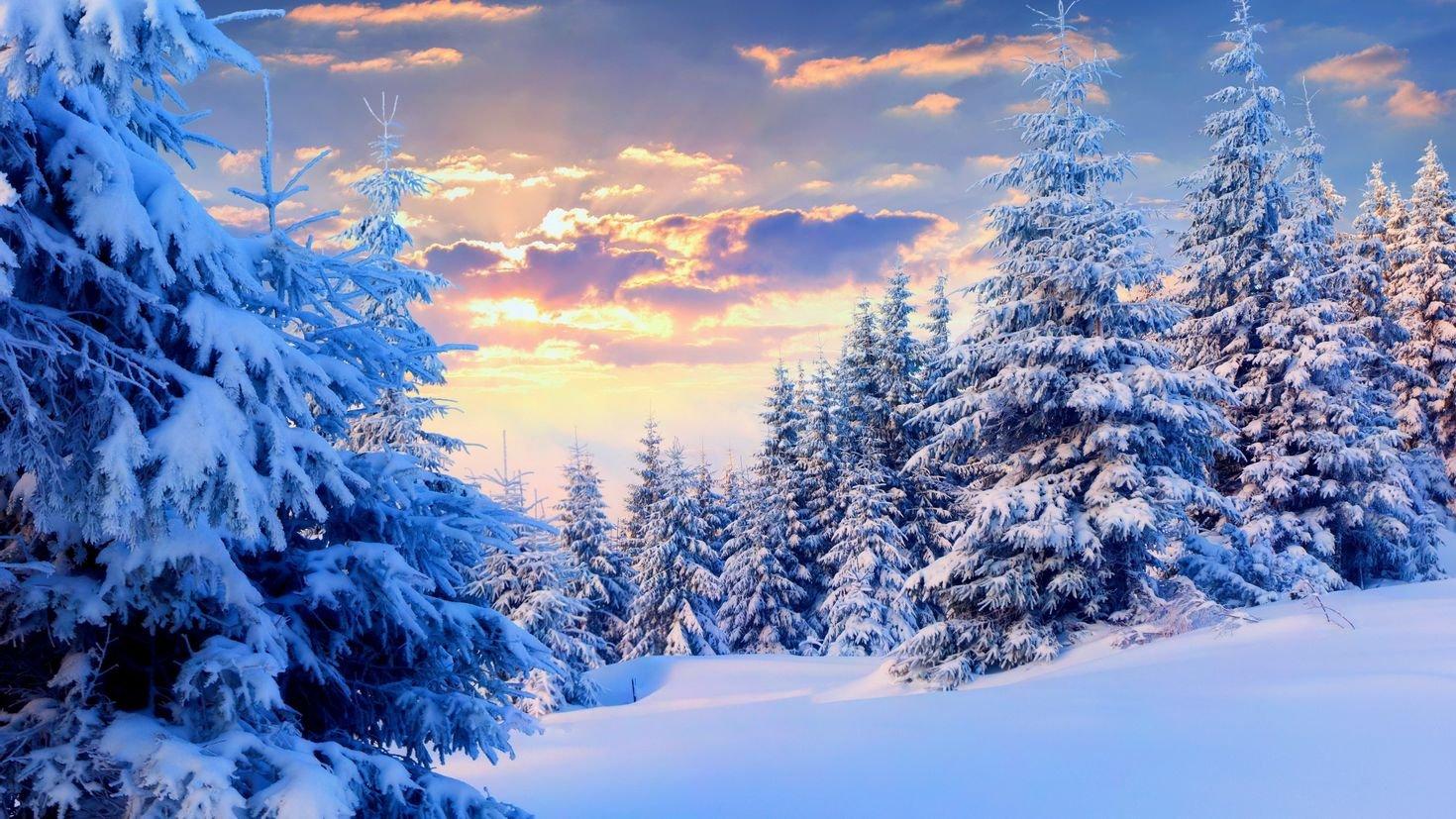 Зимний лес горизонтально (40 фото) - 40 фото