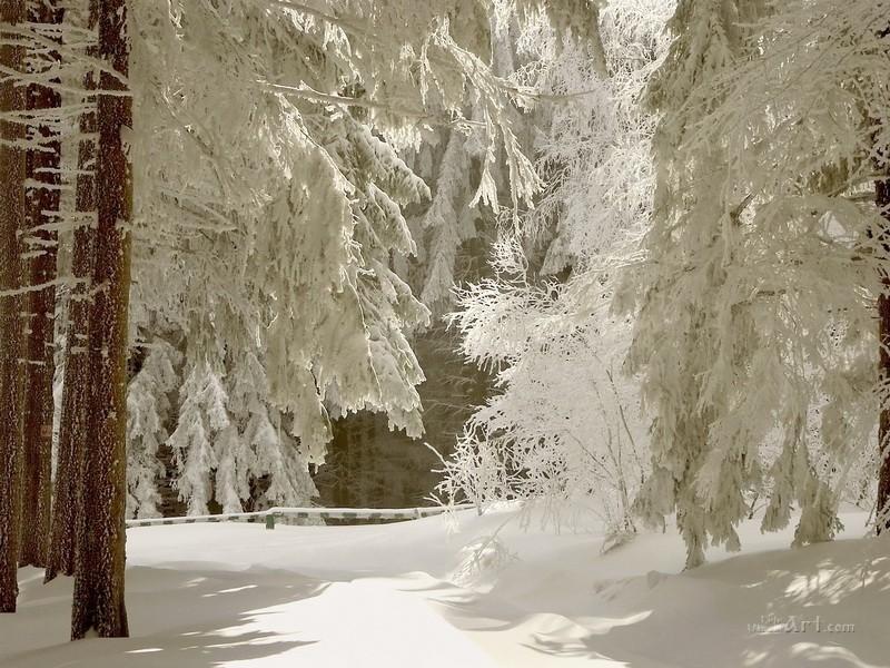 Пазл зима в лесу - разгадать онлайн из раздела \"Картины\" бесплатно