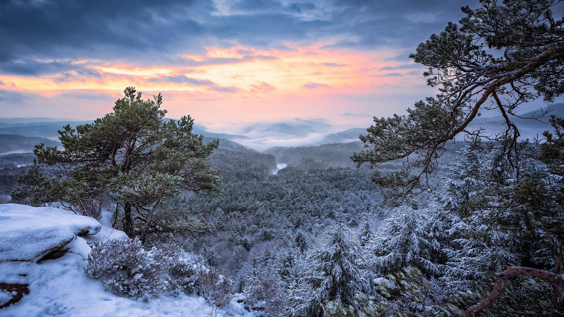Зима в лесу и в поле: lesnoyskitalets — LiveJournal