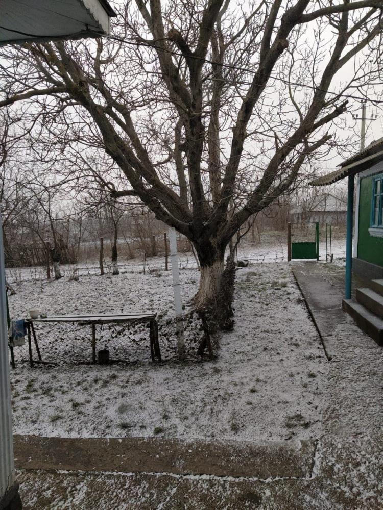 В марте еще будут снегопады: какая погода нас ожидает в первый месяц весны  | bobruisk.ru