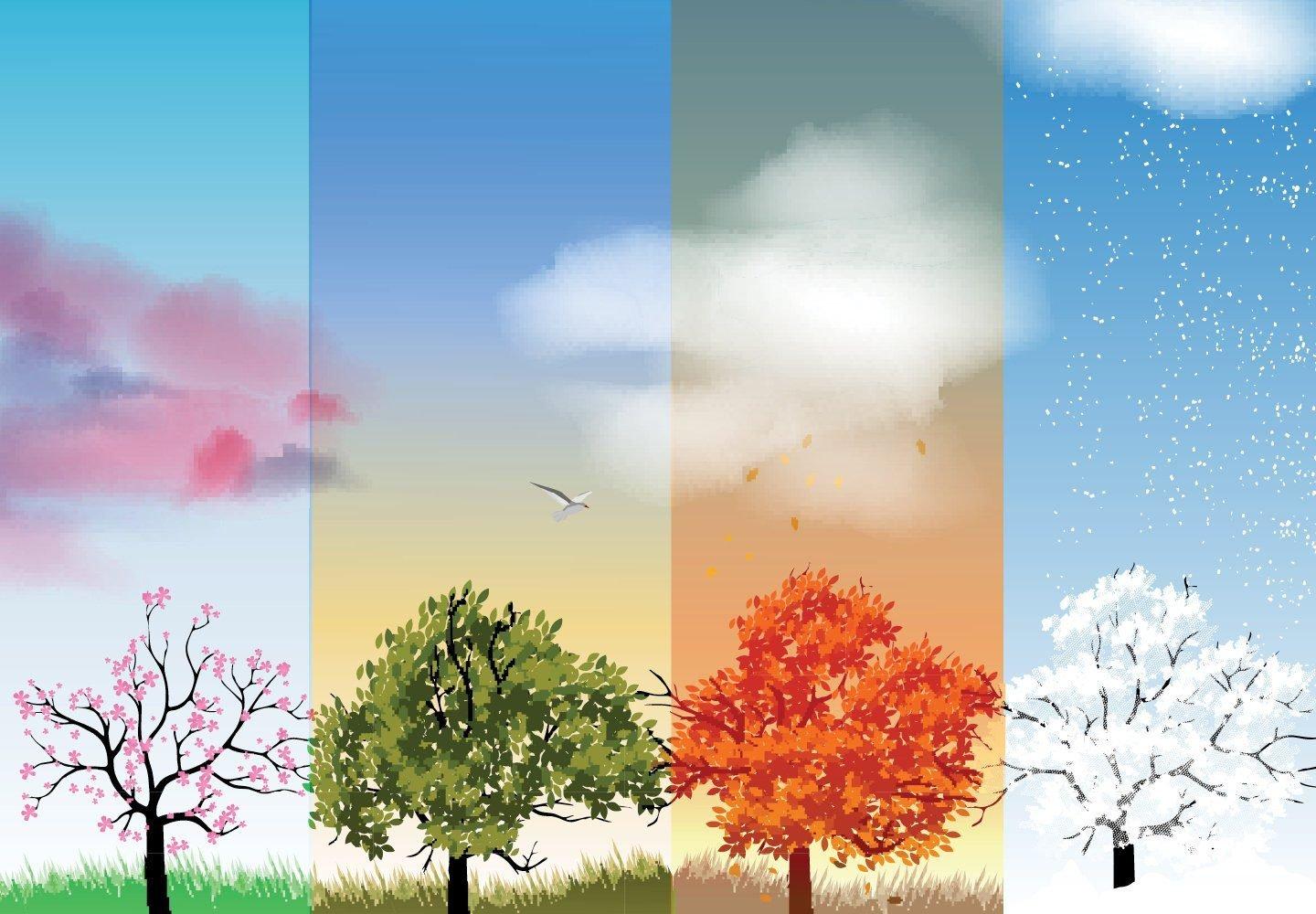 Векторное изображение Иконки - Зима, весна, лето, осень. Бесплатная  загрузка. | Creazilla