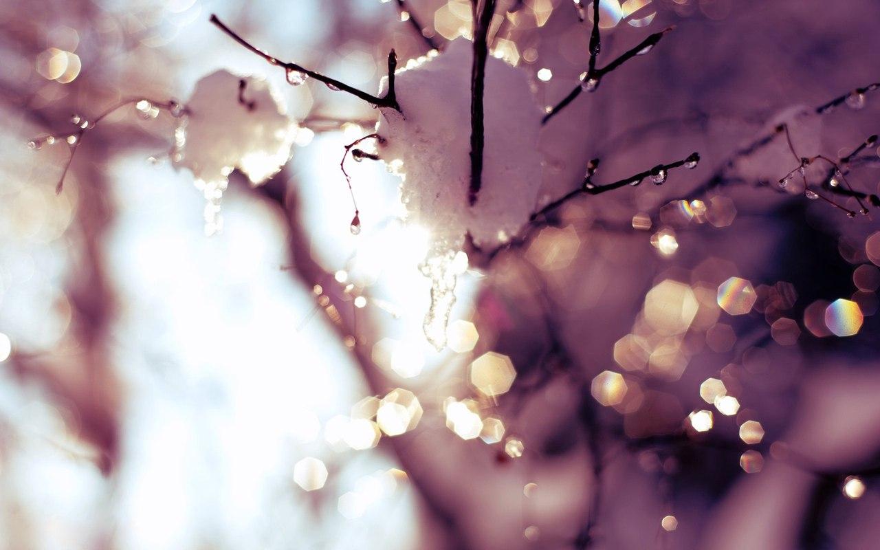 Стихотворение «Зима и Весна», поэт Жданюк Наталия