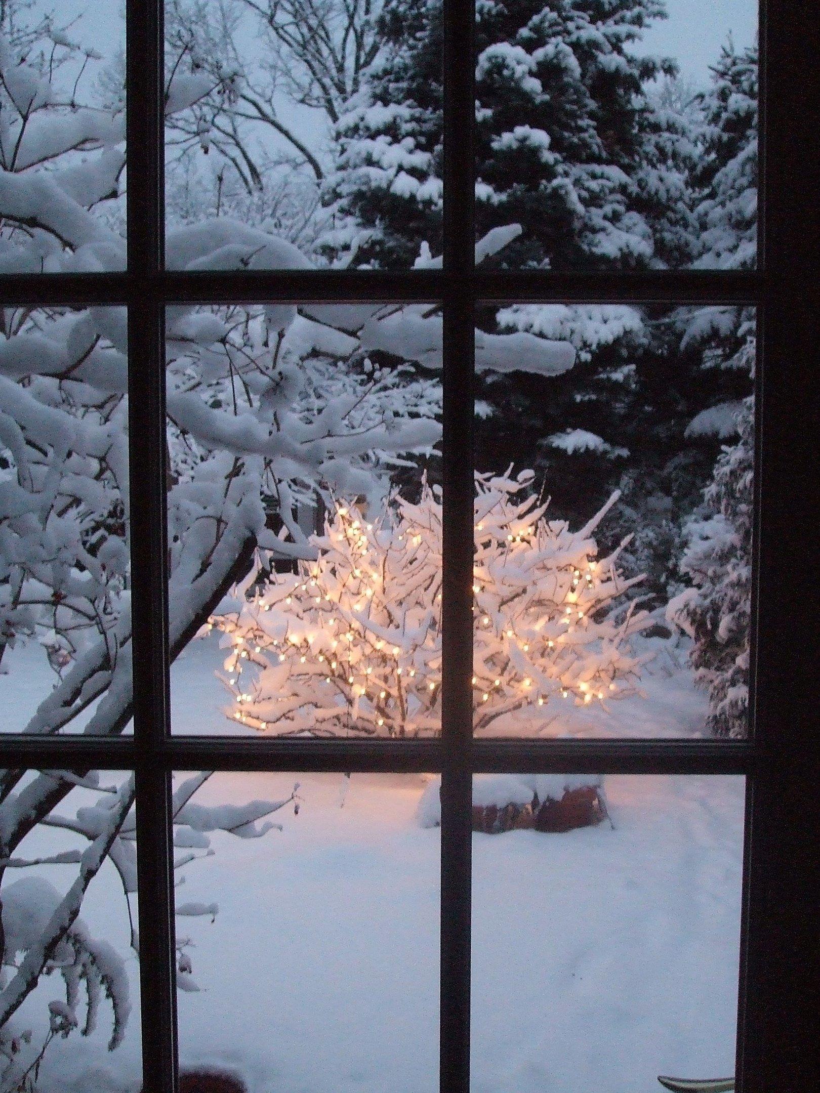 Снег за окном (54 фото) - 54 фото