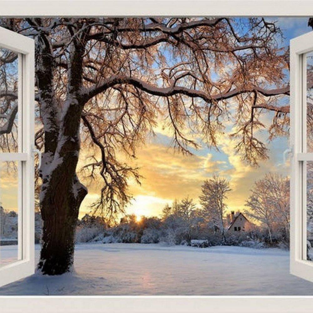 Зима за окном (94 фото) - 94 фото