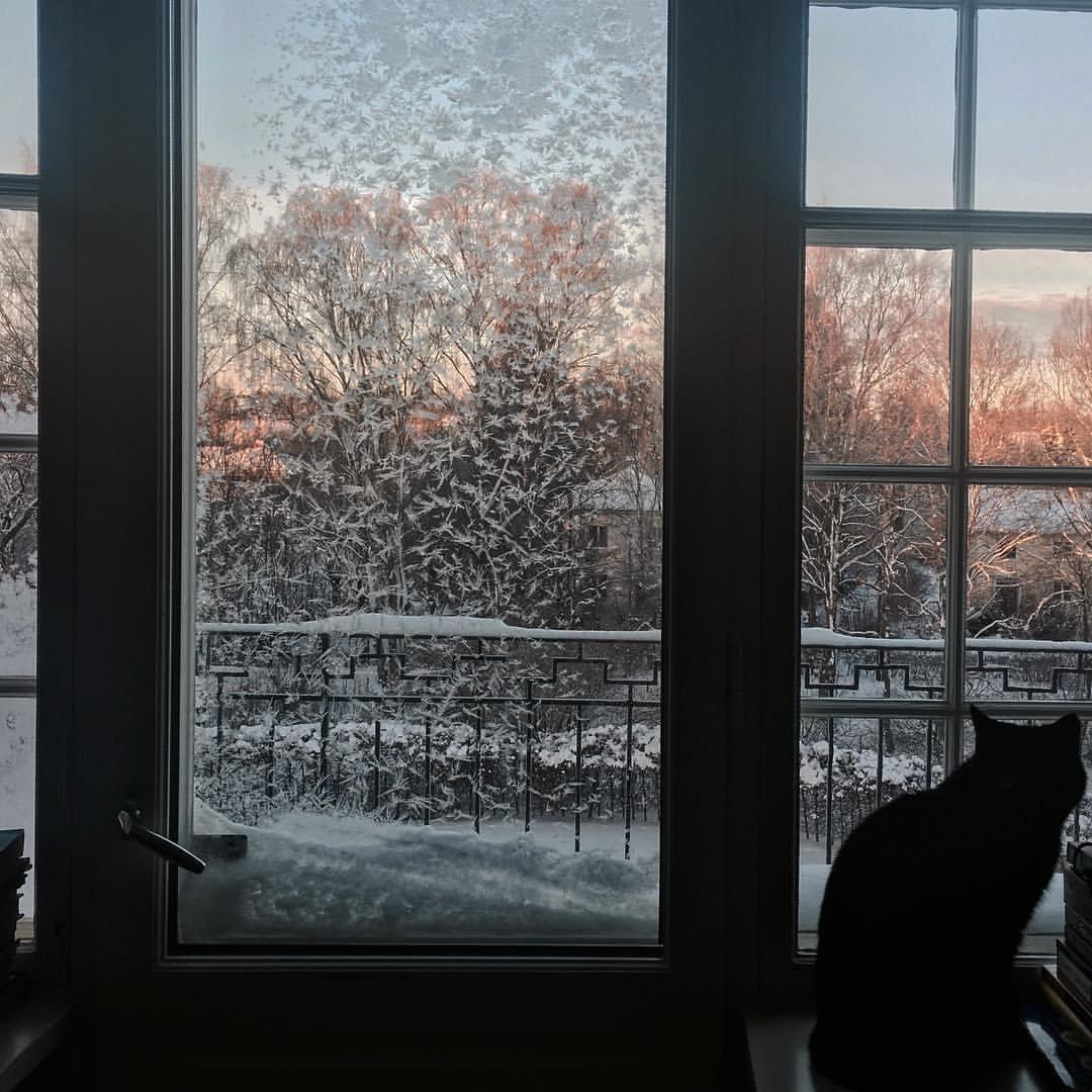 Зима - Снег за окном - обои живые