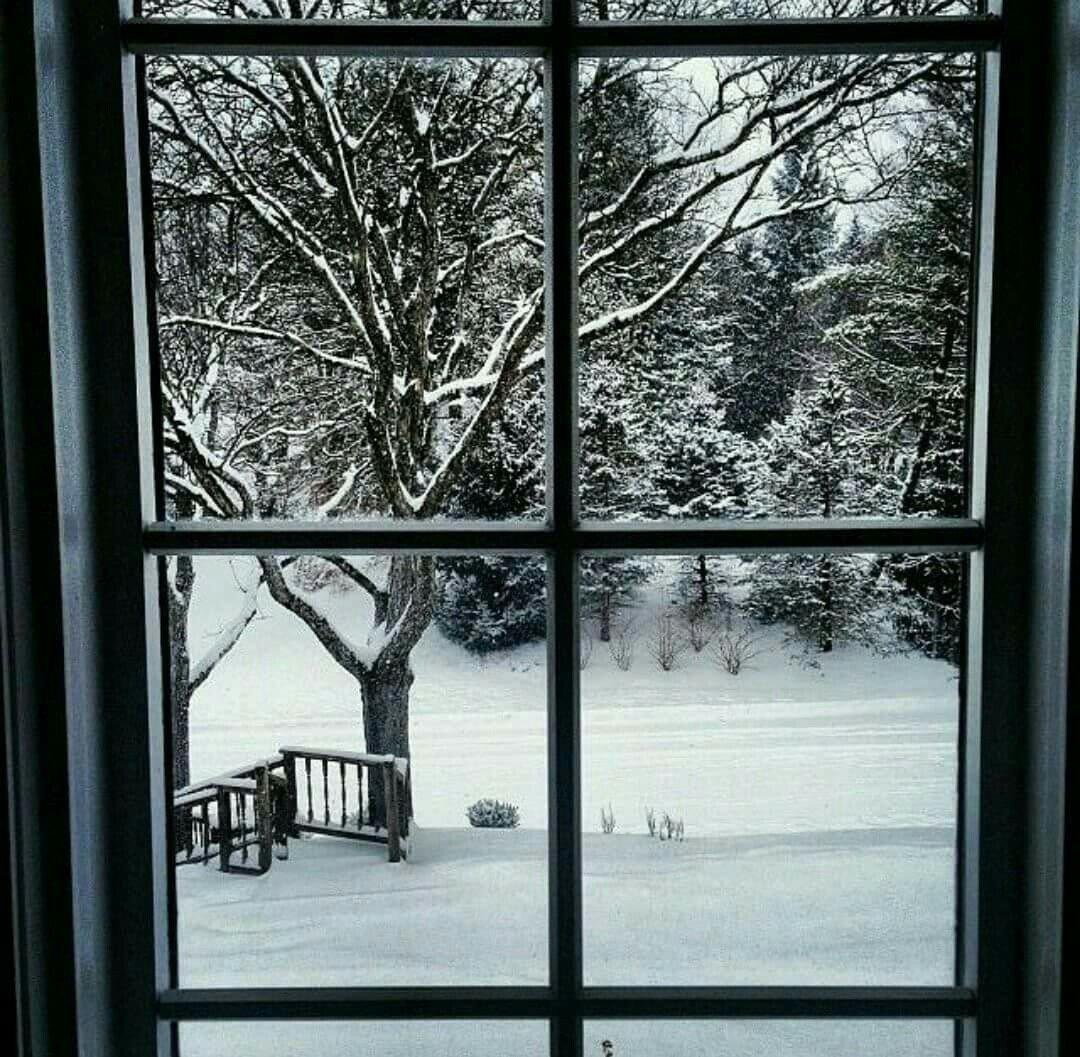 Снег за окном - 66 фото