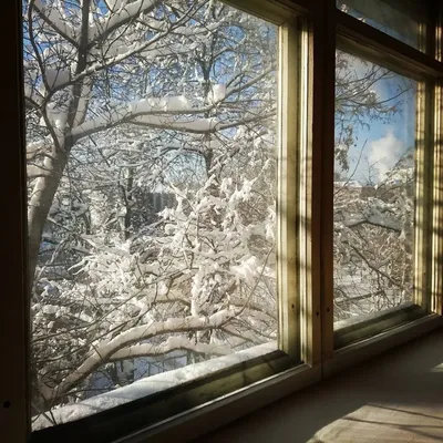 Фотообои Зима за окном для стен, бесшовные, фото и цены, купить в  Интернет-магазине