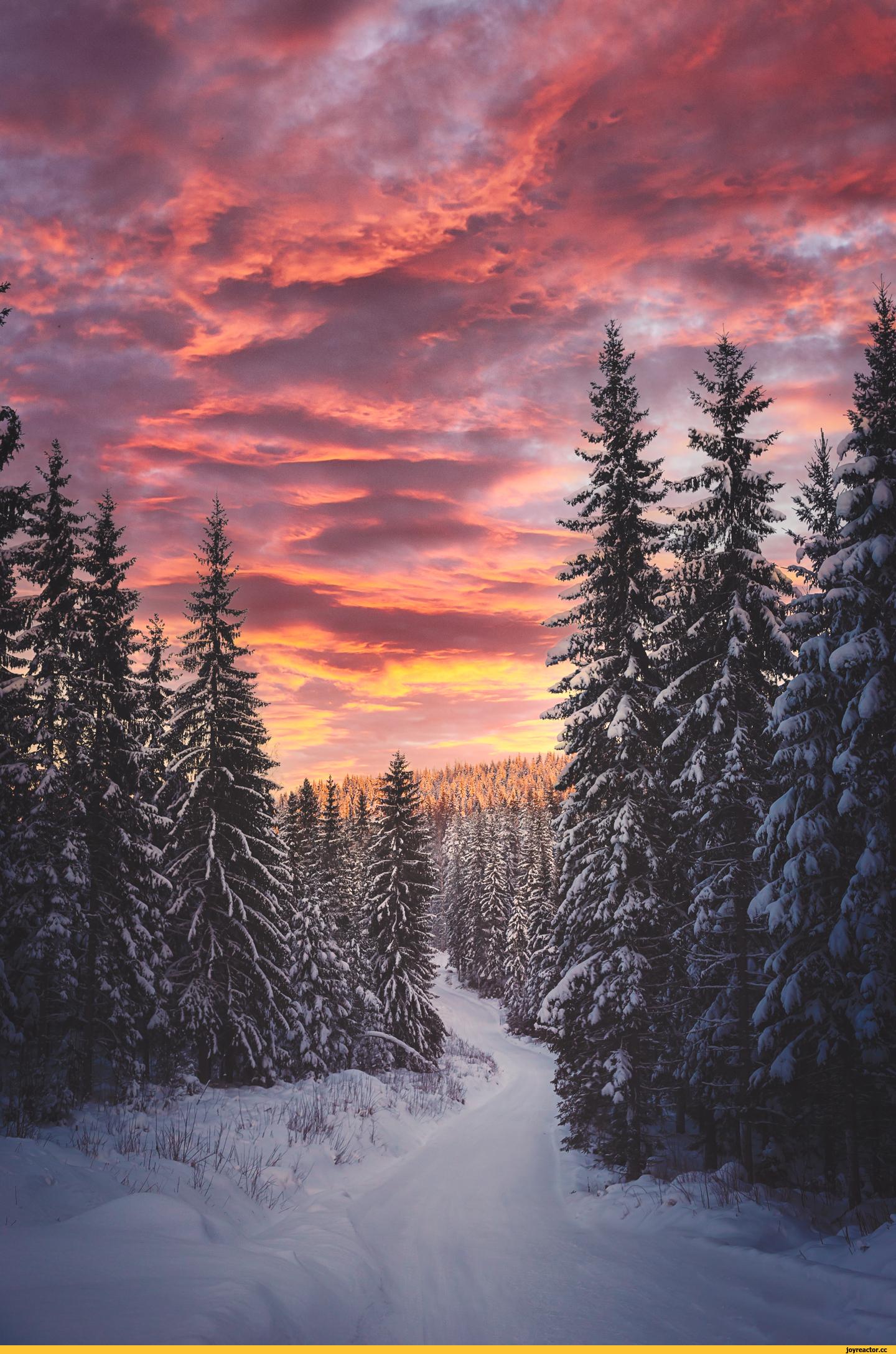 Зимний закат — ЖИВАЯ ИСТОРИЯ