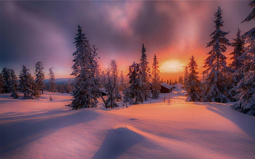 обои : Зима, закат солнца, пейзаж, снег 2560x1600 - rudrachl - 1666557 -  красивые картинки - WallHere