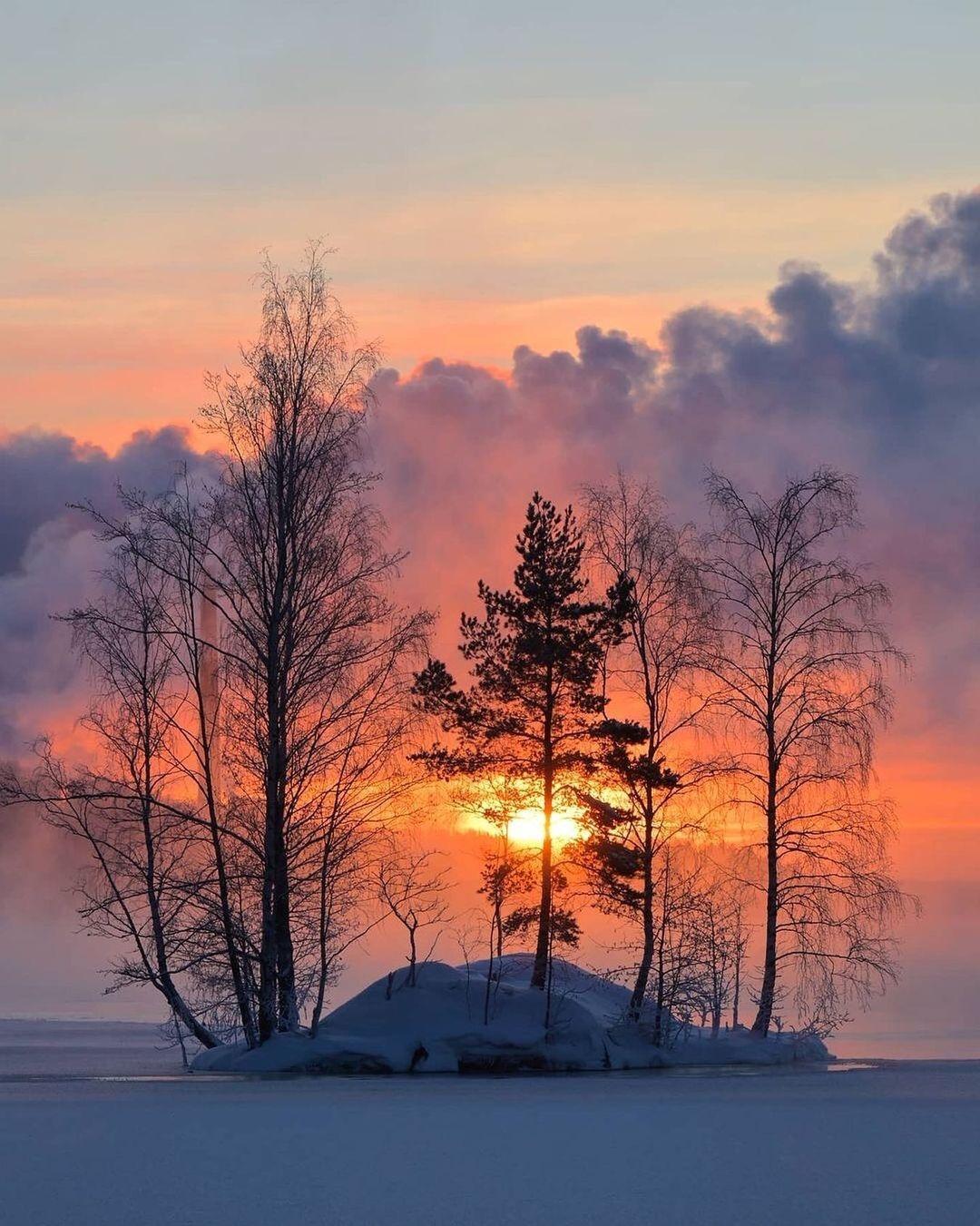 Зимний закат — Фото №1394238