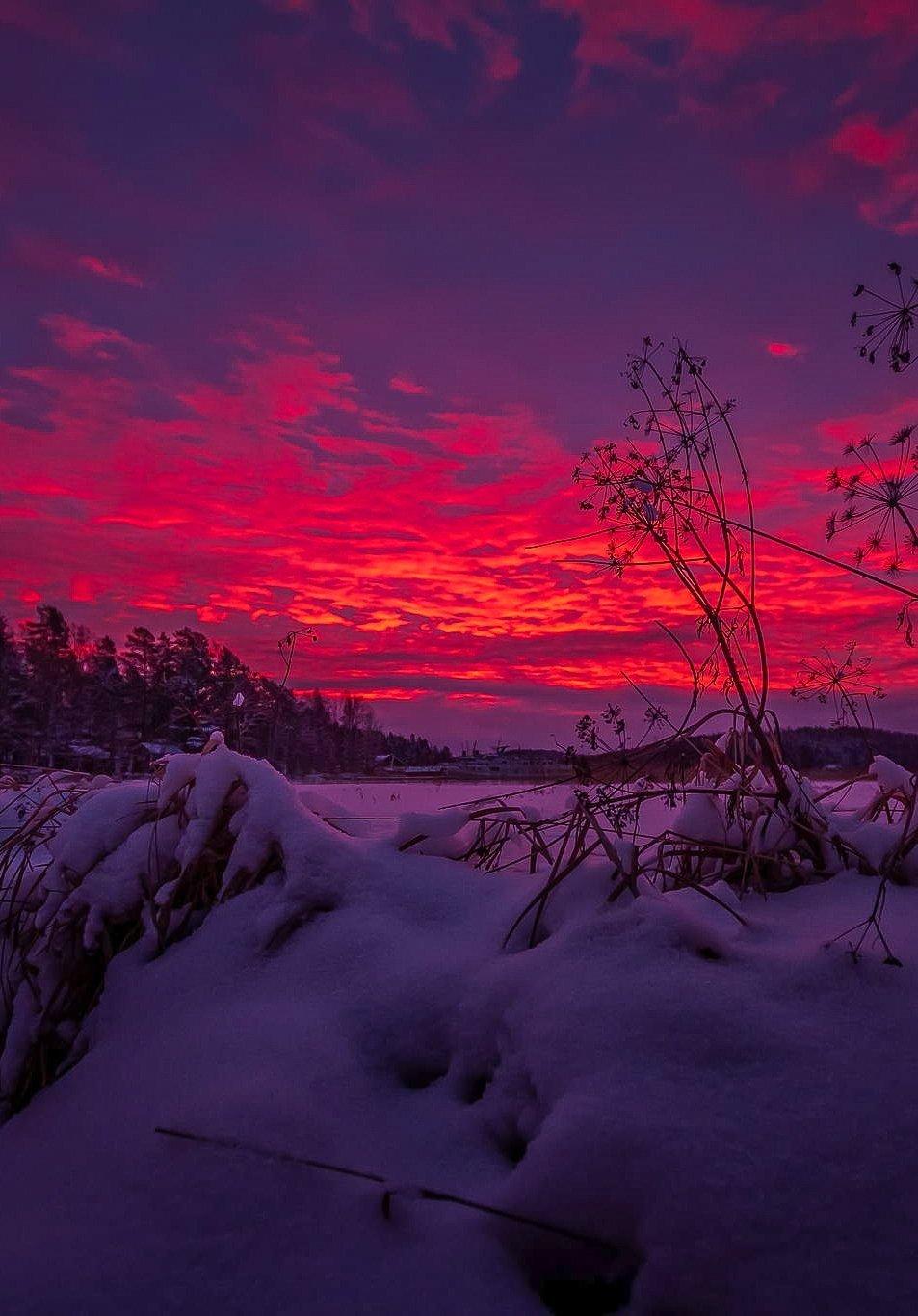 Розовый зимний закат над сказочным …» — создано в Шедевруме