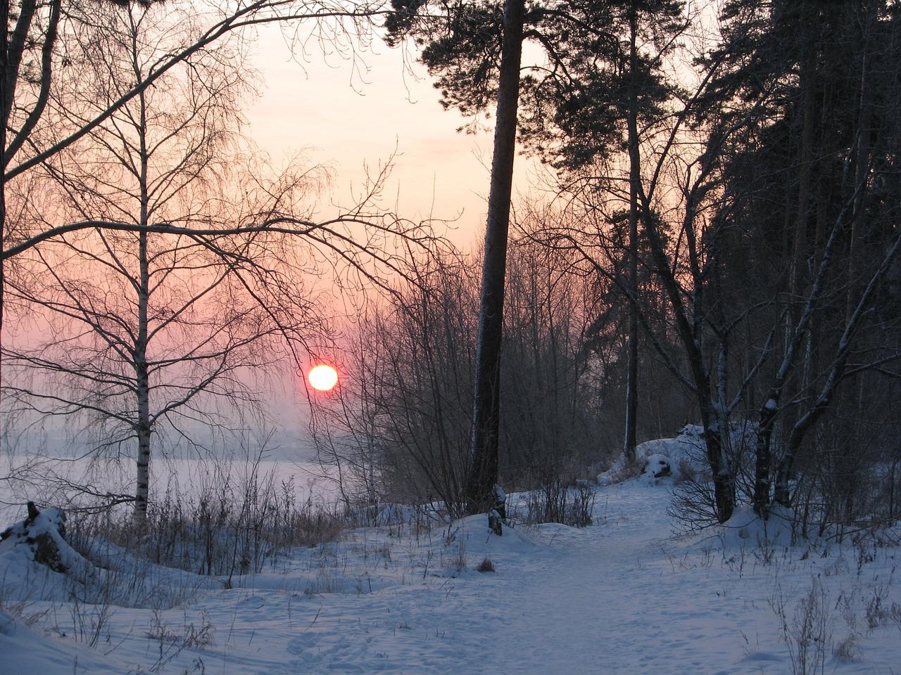 обои : пейзаж, Золотой час, Зима, закат солнца 1242x2208 - AleMolina -  1183479 - красивые картинки - WallHere
