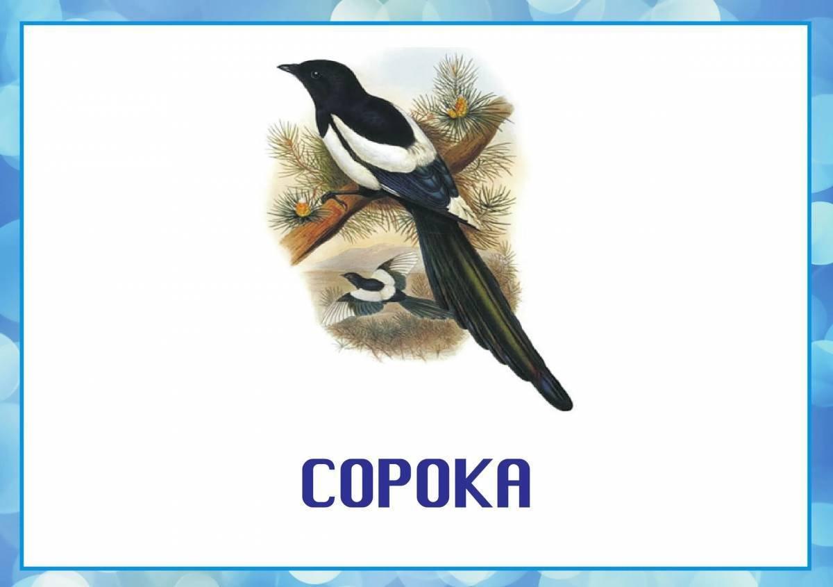 Раскраски Зимующих птиц распечатать или скачать бесплатно в формате PDF.