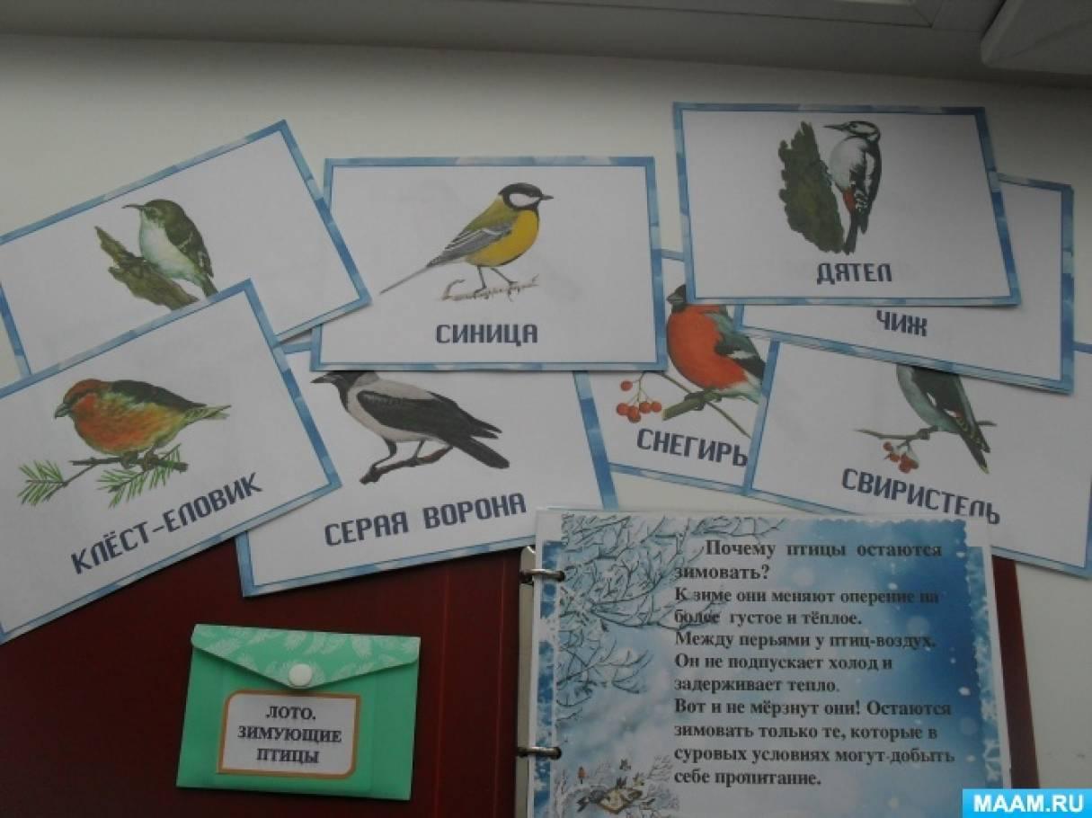 Рисунок в детский сад зимующие птицы (53 фото) » рисунки для срисовки на  Газ-квас.ком