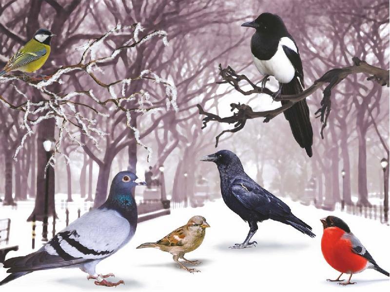Покорми птиц зимой, и они сослужат тебе службу весной», ГБОУ Школа № 1190,  Москва