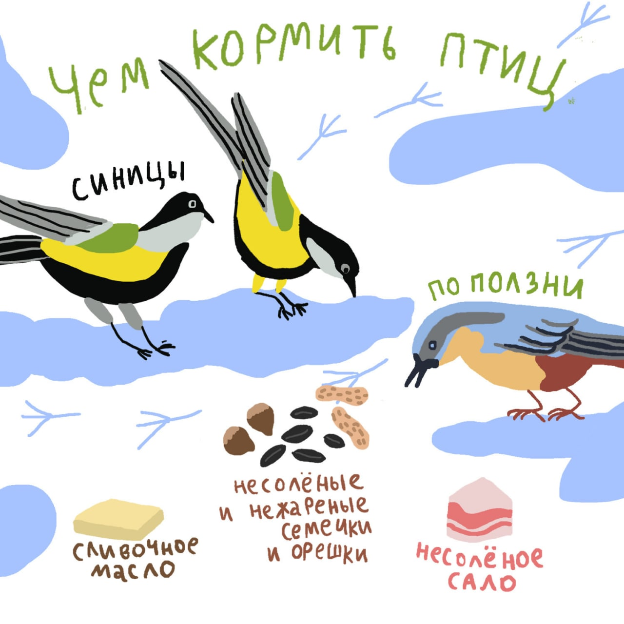 15 января — День зимующих птиц в России