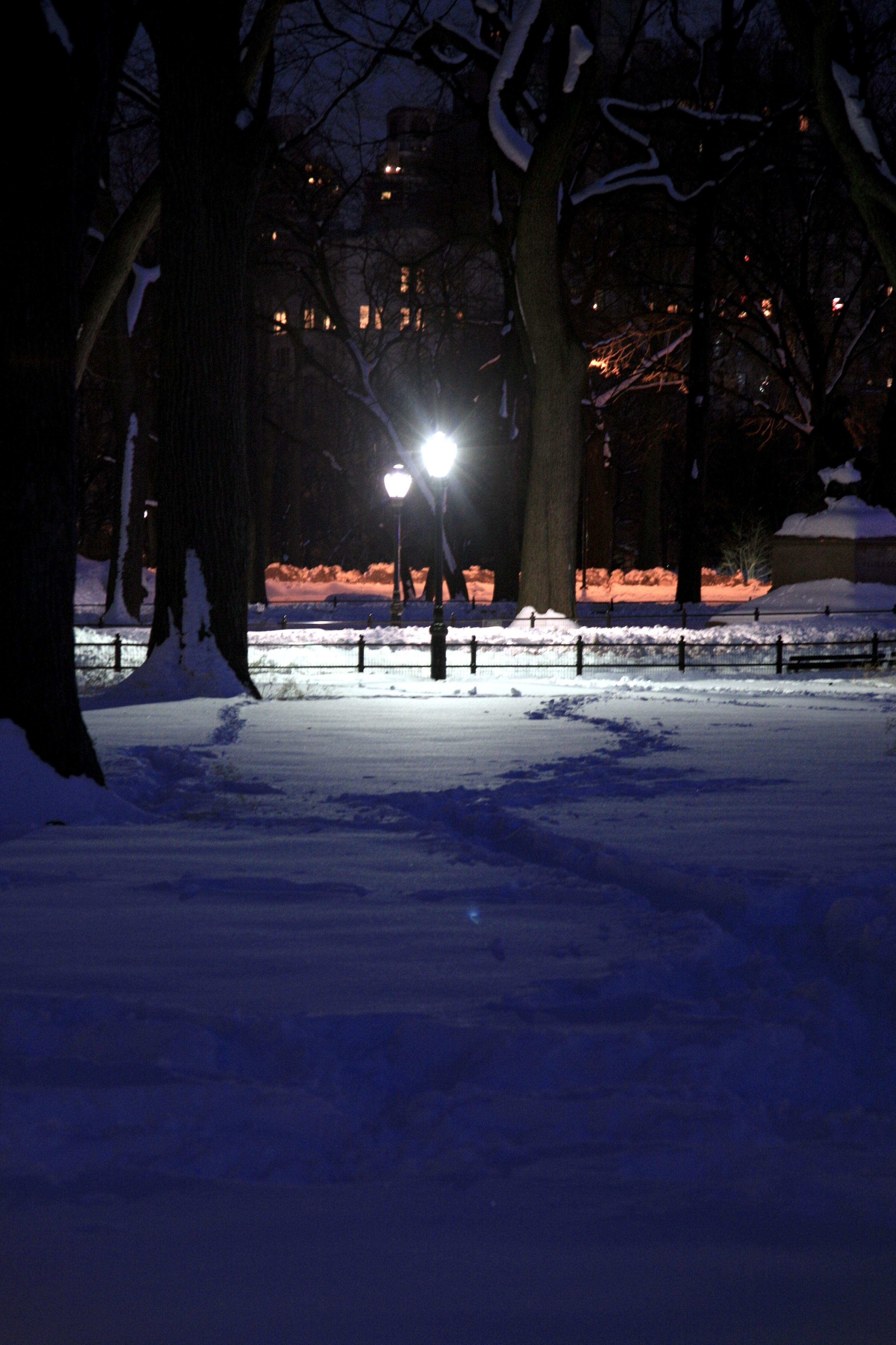 картинки : снег, зима, легкий, ночь, Лед, вечер, Nyc, Погода, Темнота,  время года, Нью-Йорк, Ny, Центральный парк, Замораживание, каток 2912x4368  - - 534502 - красивые картинки - PxHere