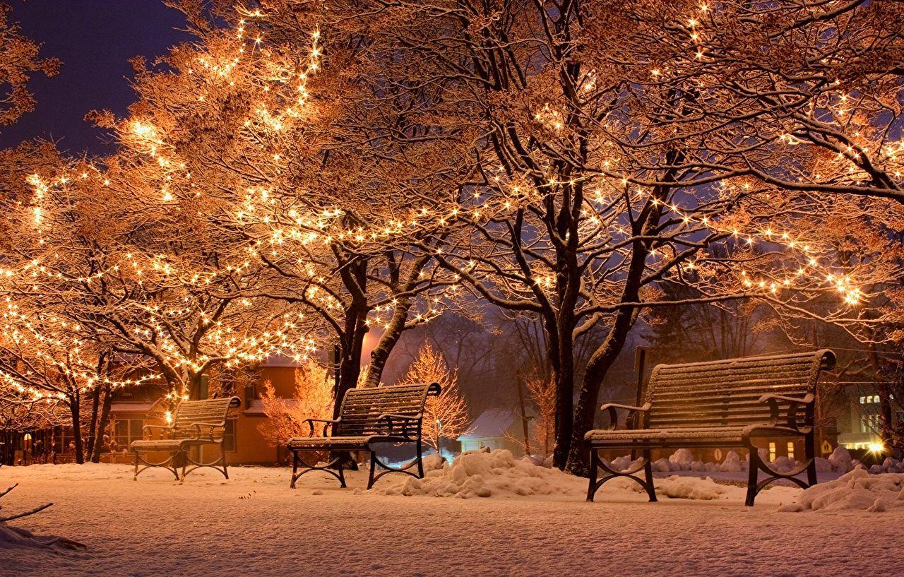 Фотография Новый год зимние Природа Снег Парки Ночь Гирлянда Скамейка  Города Деревья Праздники Рождество Зима Скамья Ноч… | Зимние картинки,  Декорации, Зимние сцены