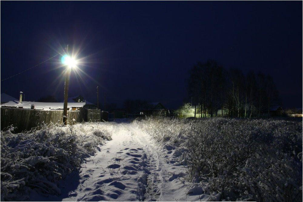 Фото дня: За ночь Бишкек превратился в зимнюю сказку!