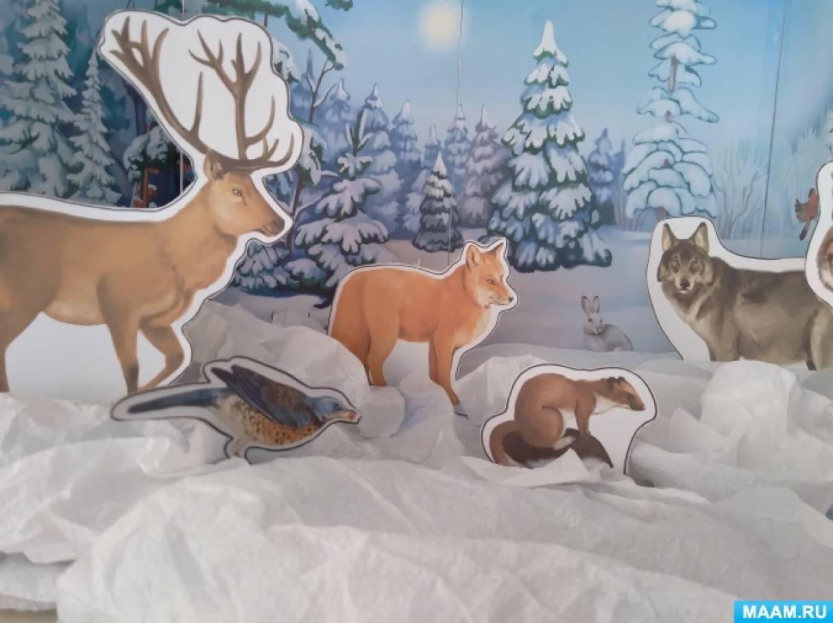 Картинки звери зимой и летом (68 фото) » Картинки и статусы про окружающий  мир вокруг