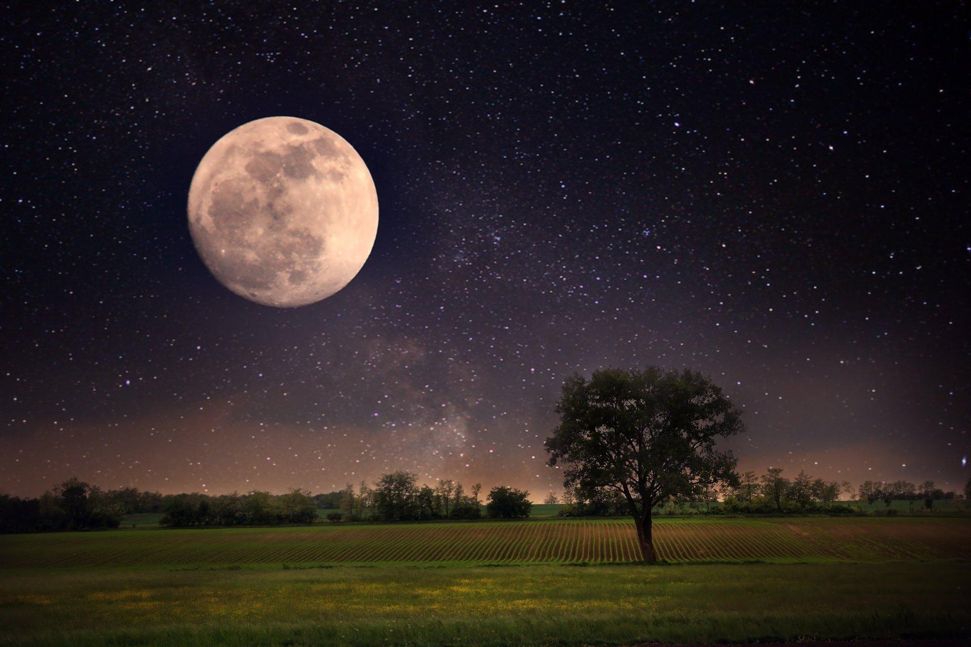 Ночь Луна звезды (58 фото) - 58 фото