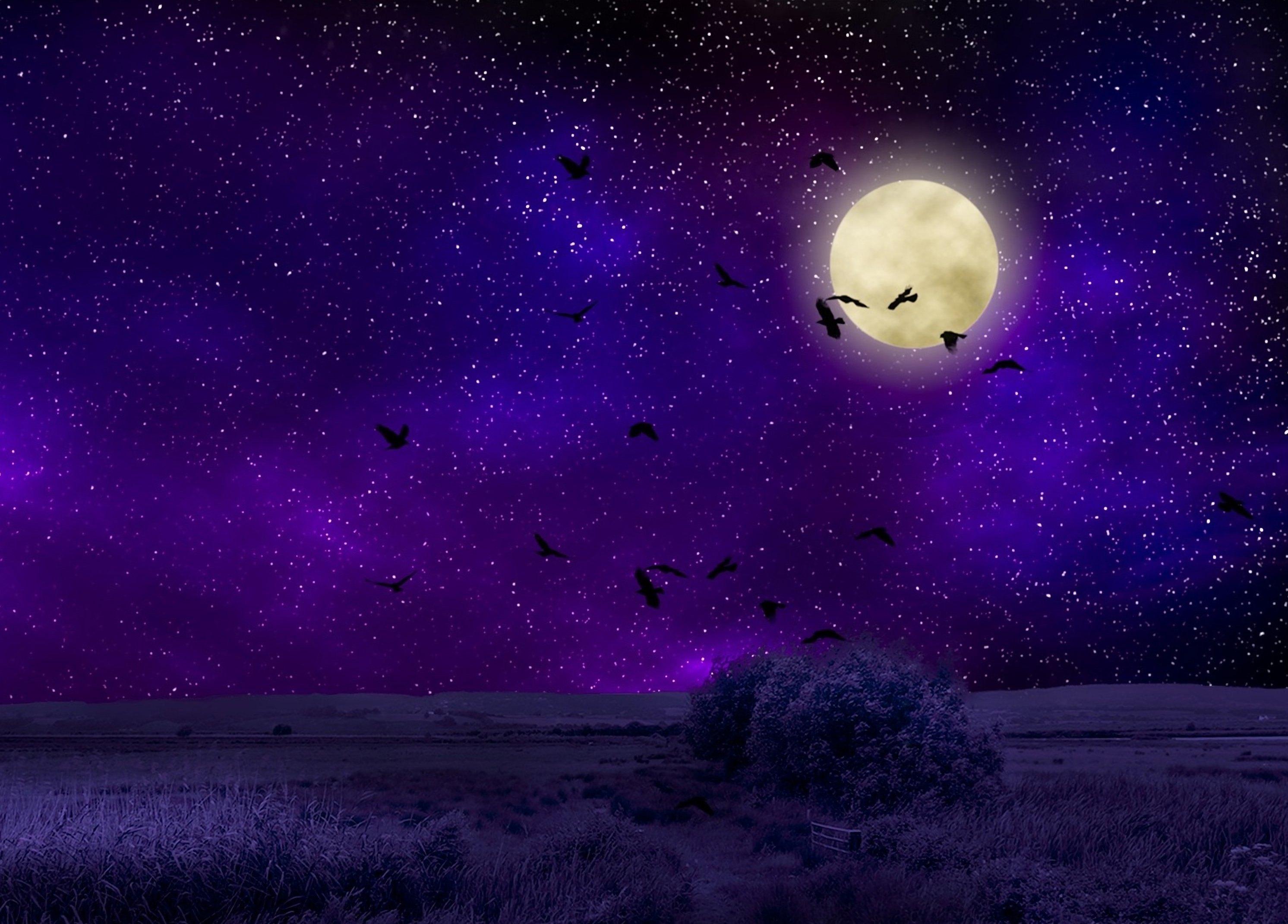 Картинки ночь звездное небо луна (70 фото) » Картинки и статусы про  окружающий мир вокруг