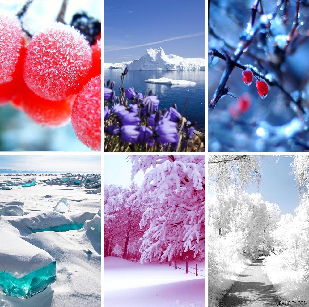 зимний пейзаж холодная зима сумерки серая зима, зима, Кёнги до, высокое  разрешение фон картинки и Фото для бесплатной загрузки