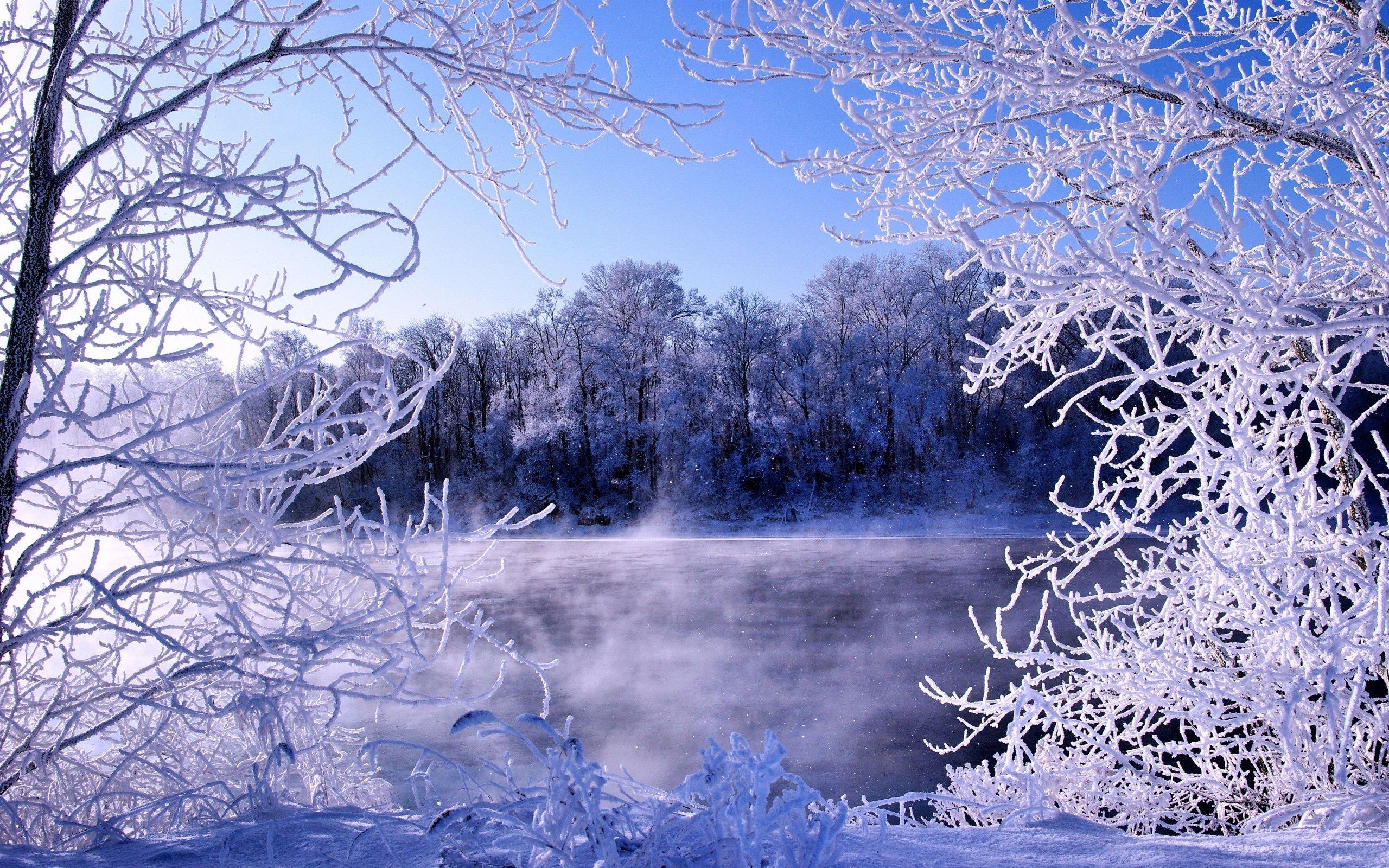 Рождество Холодная Зима - Бесплатное изображение на Pixabay - Pixabay