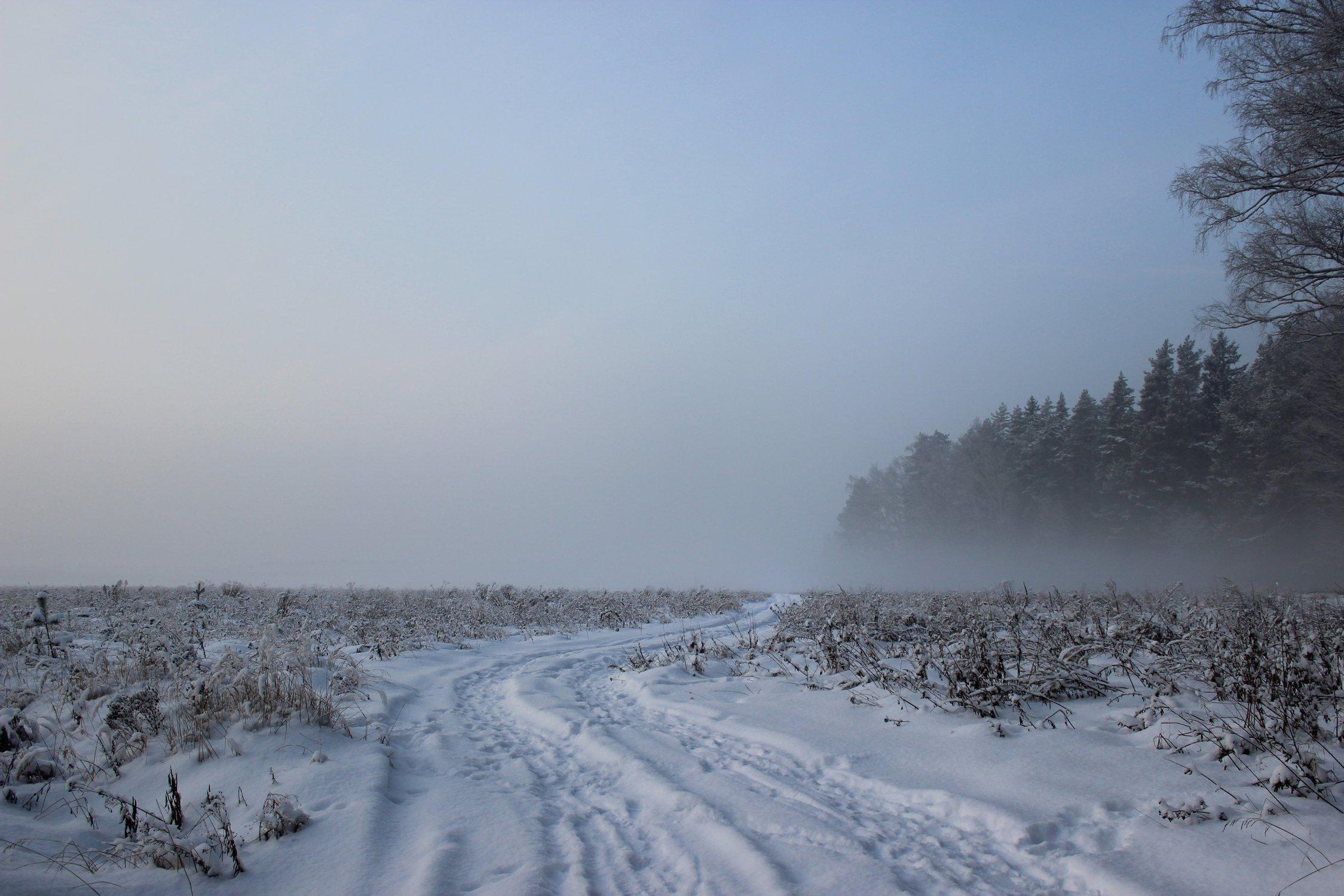 Холодная Зима Утром Пейзаж С Свежим Снегом. Фотография, картинки,  изображения и сток-фотография без роялти. Image 35125723