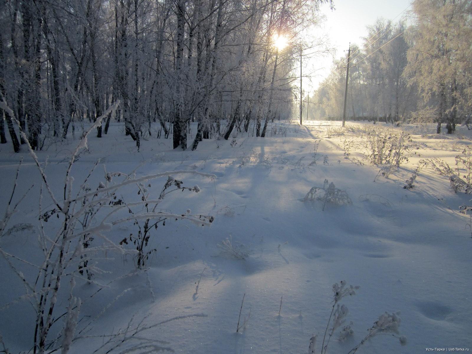 Холодная зима Стоковые фотографии, картинки, все без лицензионных  отчислений - Envato Elements