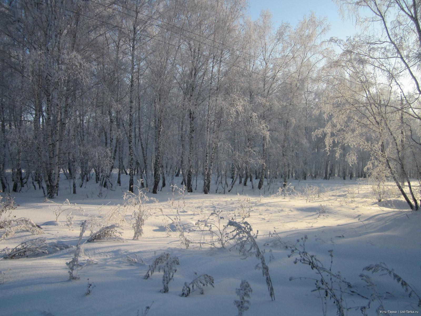 В Сибири аномально холодная зима: сильные морозы за 100 лет