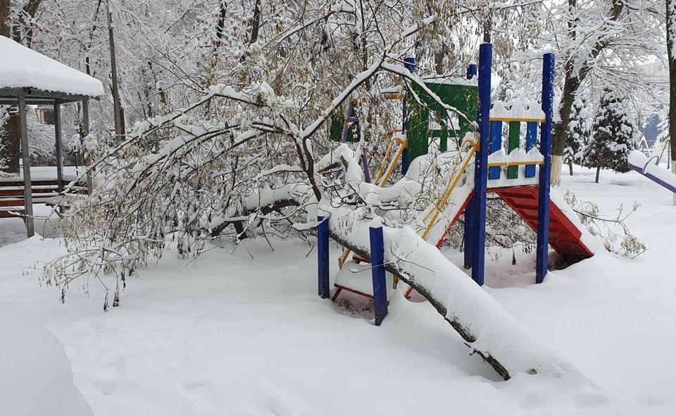 Холодная зима снег зимний лес снег фон, Холодный, Зимний день, сугроб фон  картинки и Фото для бесплатной загрузки