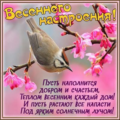всем пожелать хорошего дня весна｜Поиск в TikTok
