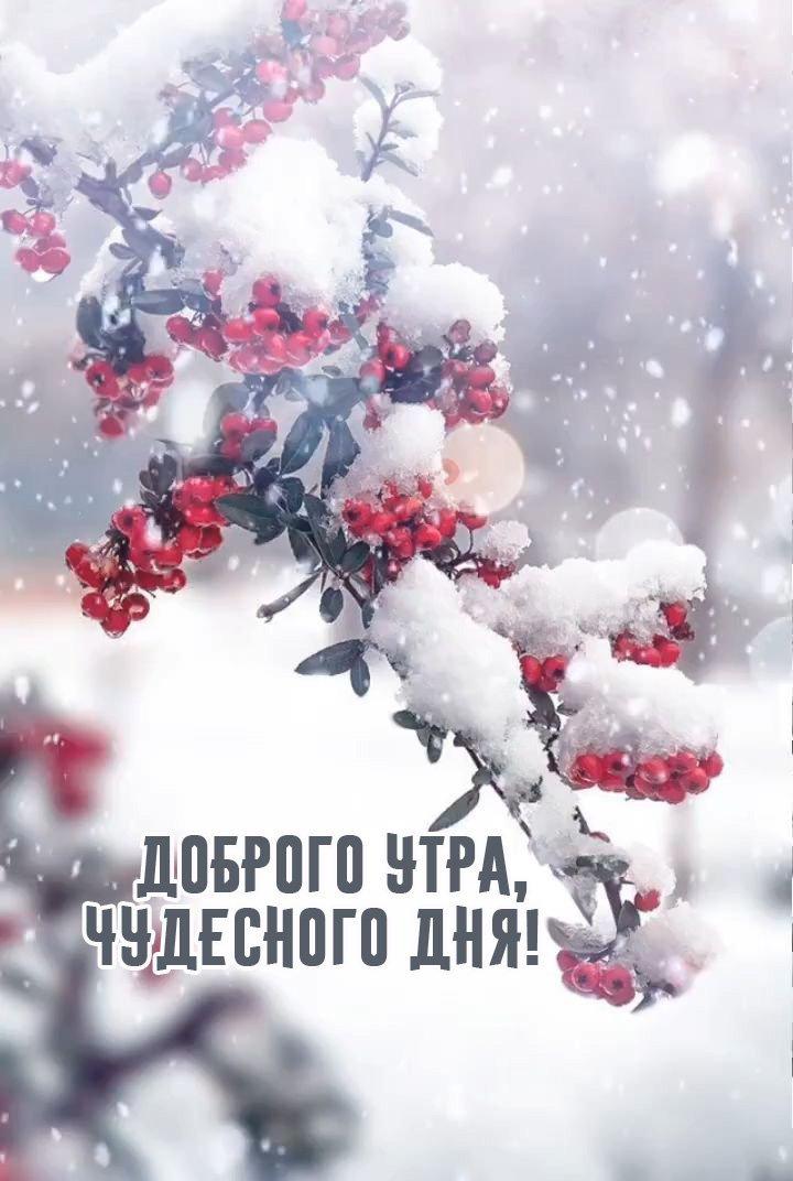 Картинки \"Хорошего зимнего дня\" (53 фото)