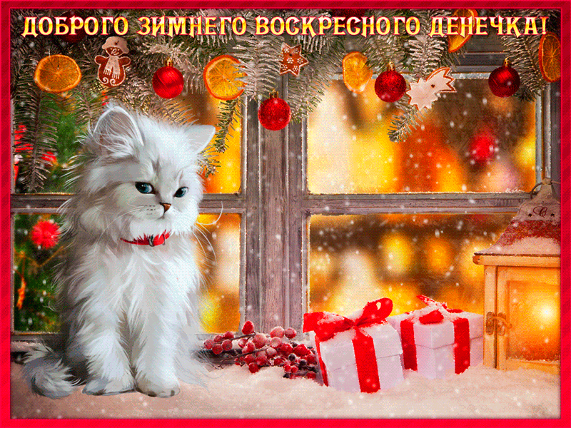 открытки доброе зимнее утро и хорошего воскресенья｜Поиск в TikTok