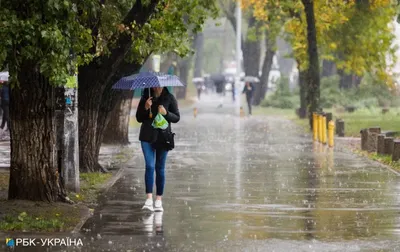 Прекрасные кадры дождливого Киева сегодня | Киев дождь сегодня Фото  №1365043 скачать