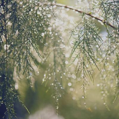 ⬇ Скачать картинки Кислотные дожди, стоковые фото Кислотные дожди в хорошем  качестве | Depositphotos