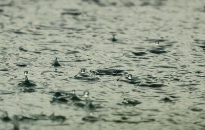 Чем опасны кислотные дожди?