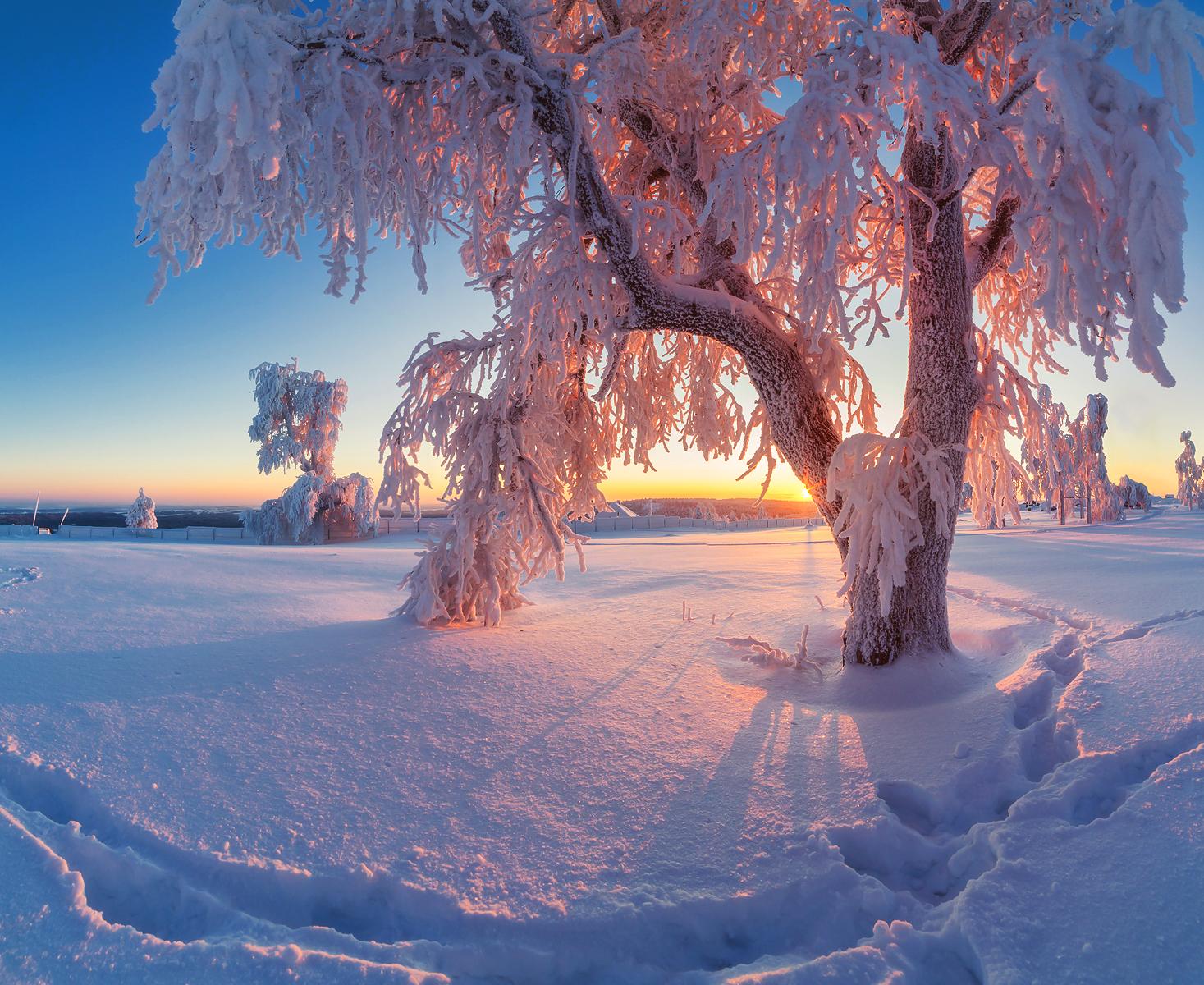 Классные картинки зима фотографии