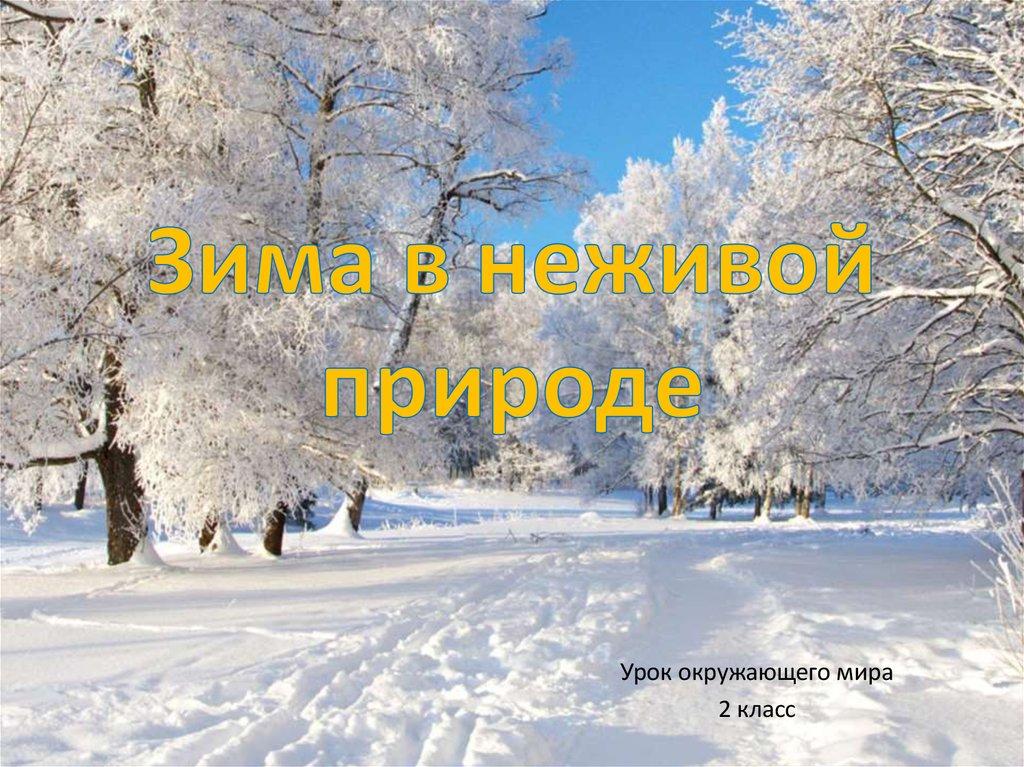 Самые интересные зимние фотографии, показывающие, как выглядит настоящий  холод – Zagge.ru