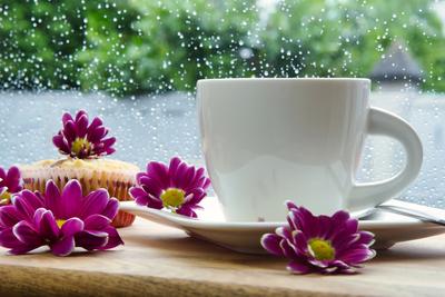 Кофе осень дождь природа» — создано в Шедевруме