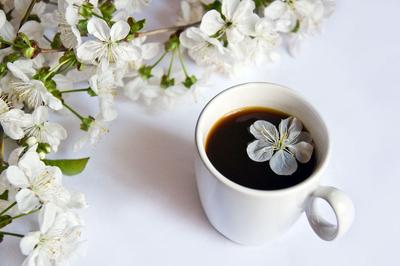 Картинки по запросу доброе утро весна кофе | I love coffee, Coffee time,  But first coffee