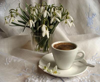 чашка кофе в светло-розовой чашке и весна цветущая ветвь с цветами на белом  фоне. минималистская вертикаль Стоковое Изображение - изображение  насчитывающей расцвет, ширины: 214036589